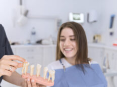 Female patient looking at different types of teeth.