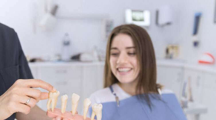 Female patient looking at different types of teeth.